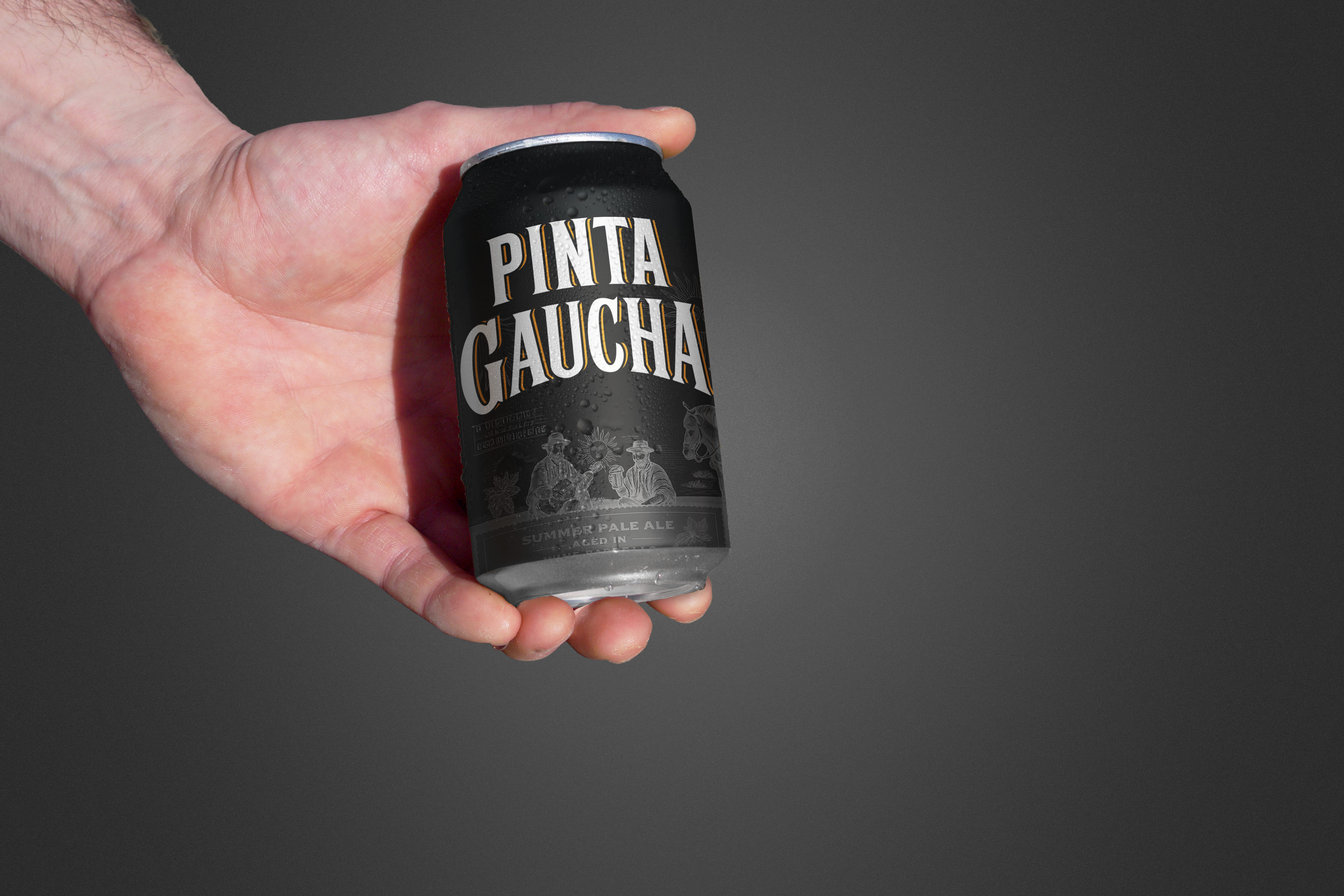 Pinta Gaucha — aplicación 03